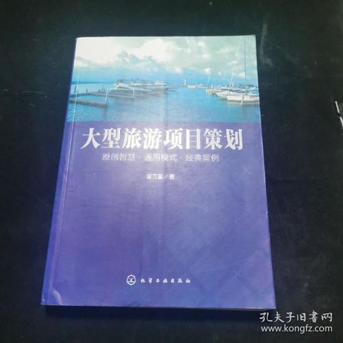 大型旅游项目策划与开发咨询 打造独特体验，驱动区域发展
