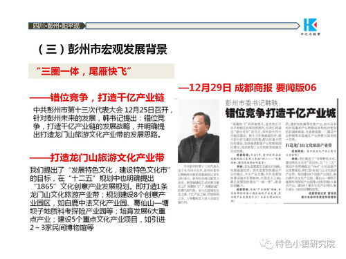 中国道源旅游度假小镇项目策划方案